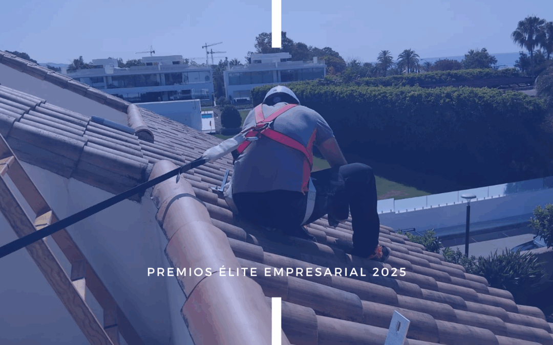 Más Sol Energía, premiada en los Premios Élite Empresarial 2025